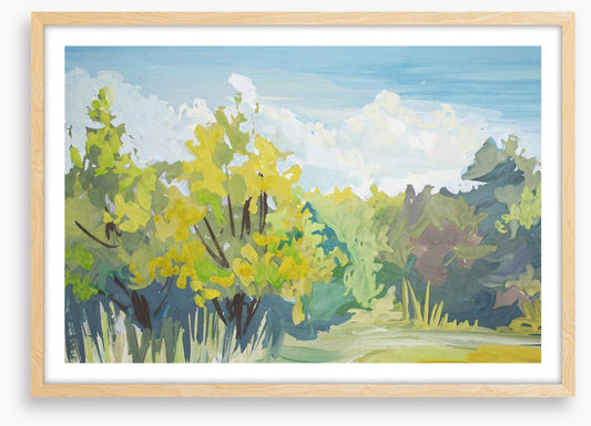 Landscapes