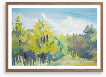 Landscapes