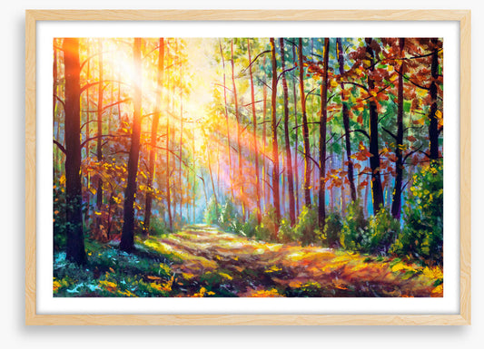 The sunbeam path