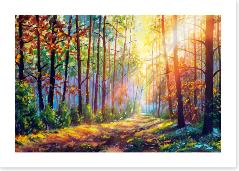 The sunshine path