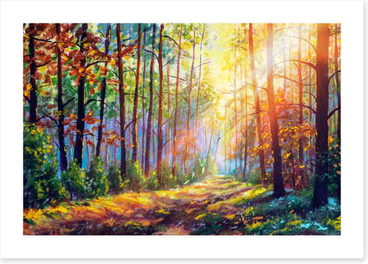 The sunshine path