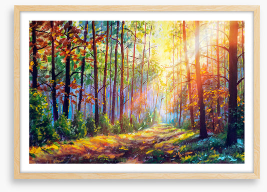 The sunshine path