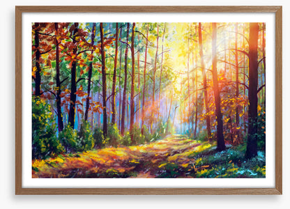 The sunshine path