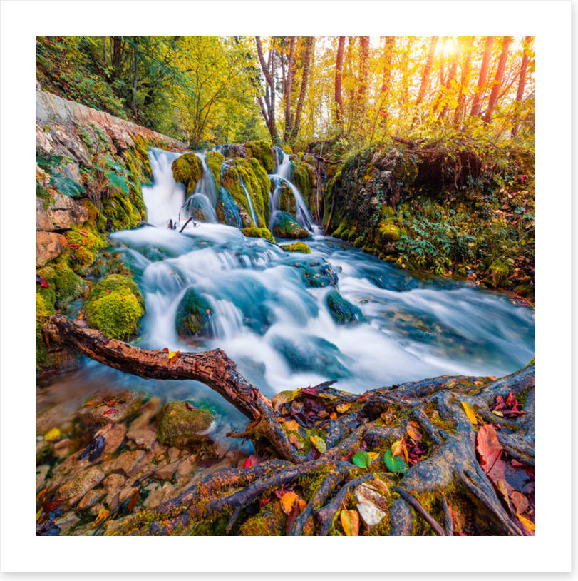 Falling into autumn