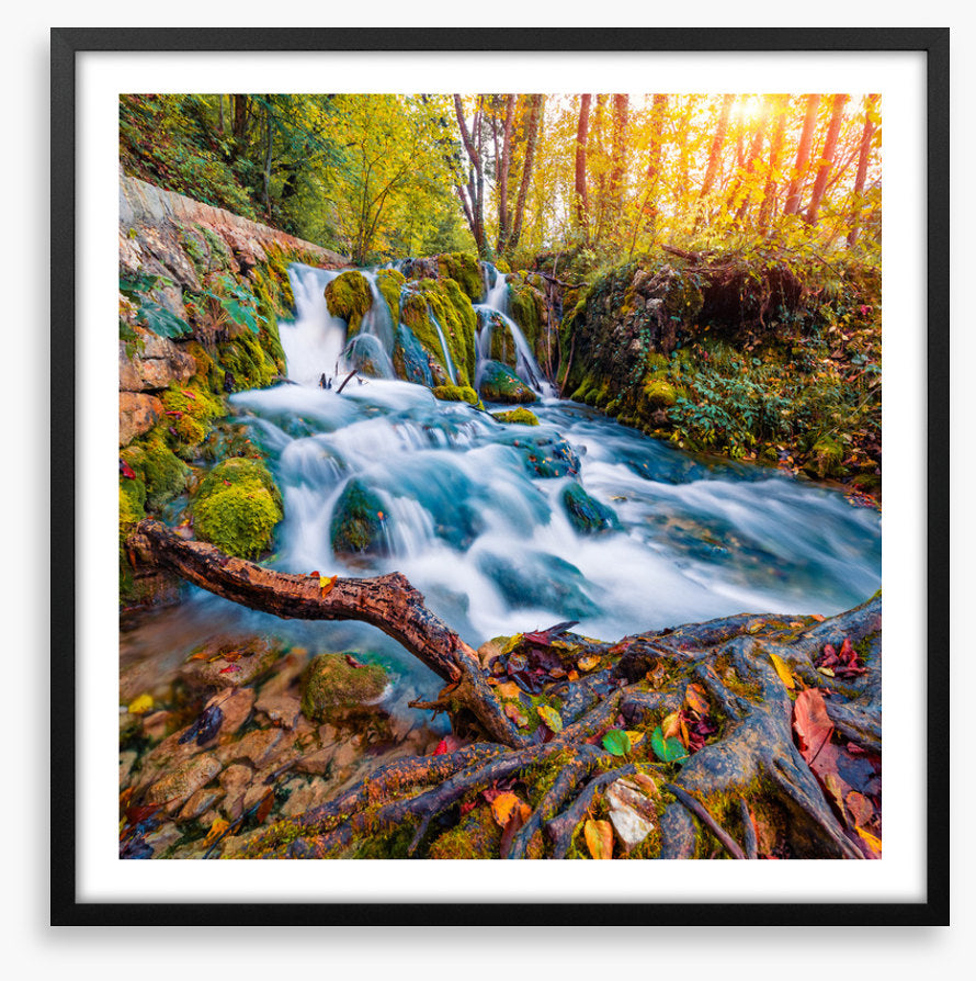 Falling into autumn