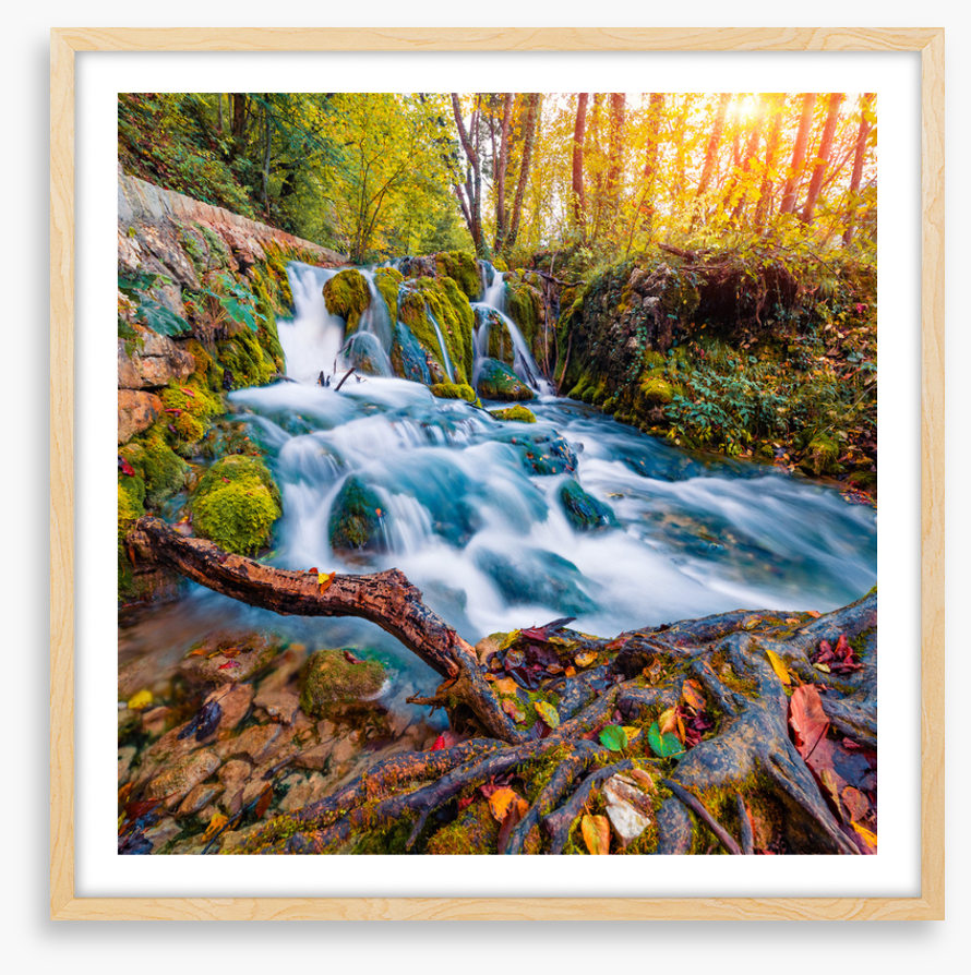 Falling into autumn