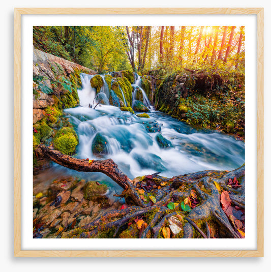 Falling into autumn