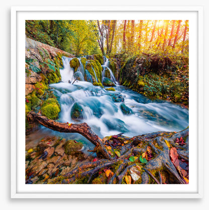Falling into autumn