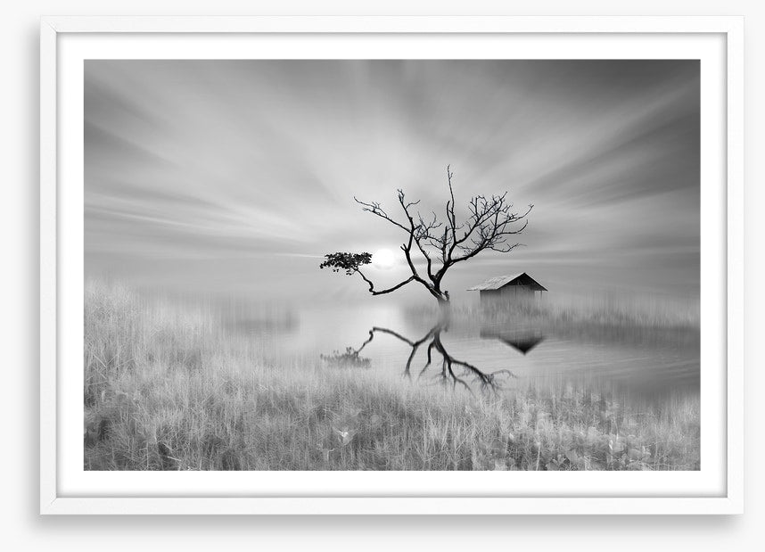 The land of dreams