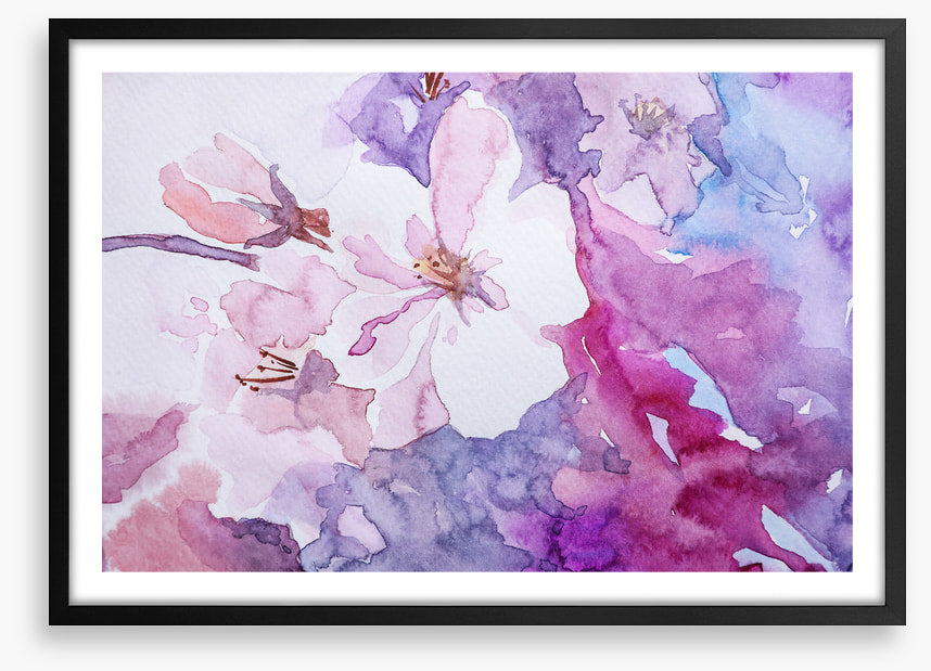 Rosemallow 1