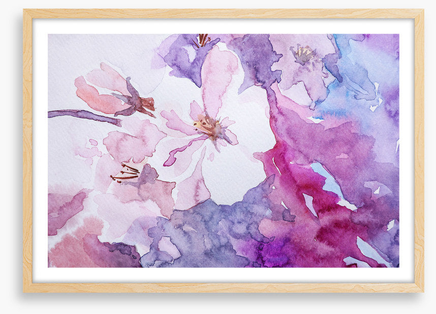 Rosemallow 1