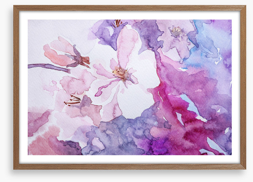 Rosemallow 1
