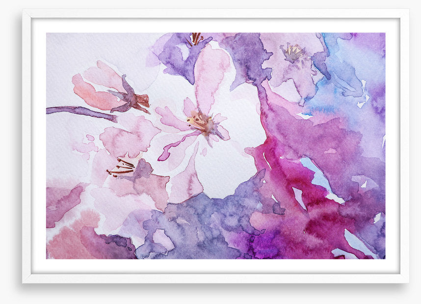 Rosemallow 1
