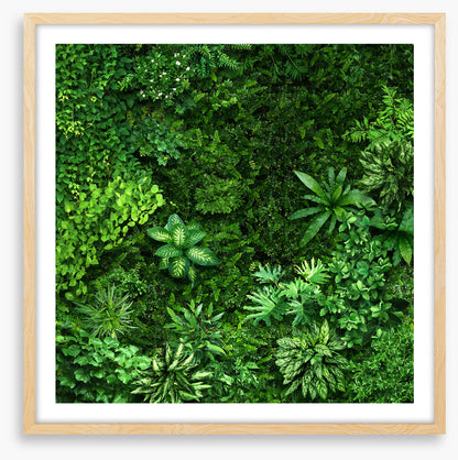 Leafy greens