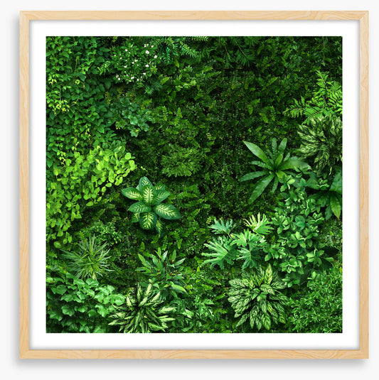 Leafy greens