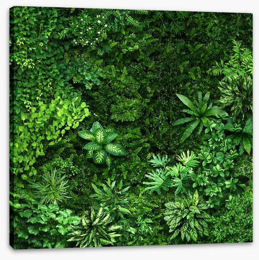 Leafy greens