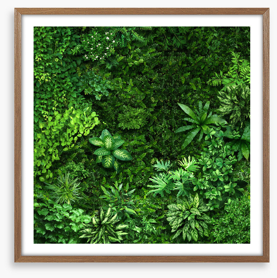 Leafy greens