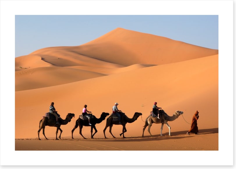 Camel convoy
