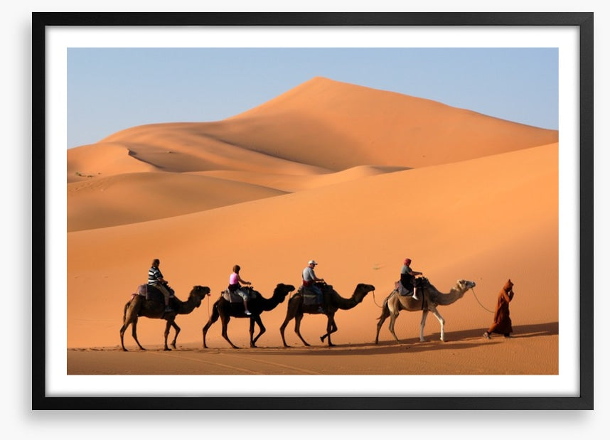 Camel convoy