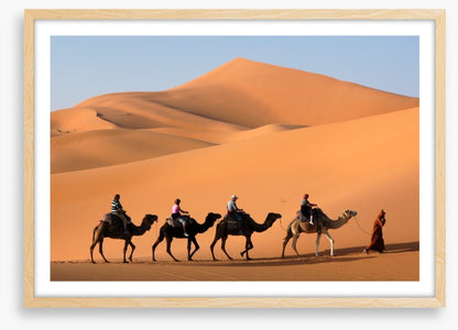 Camel convoy