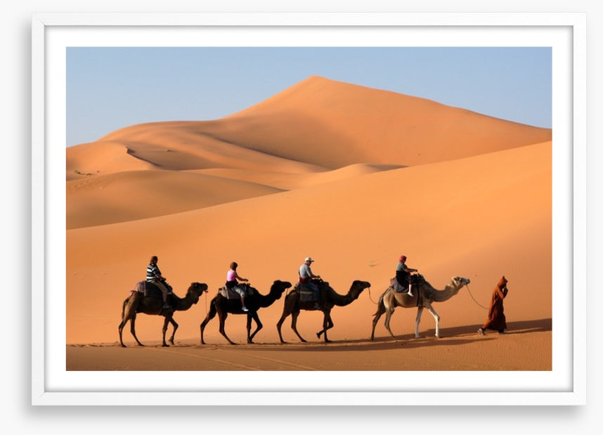 Camel convoy