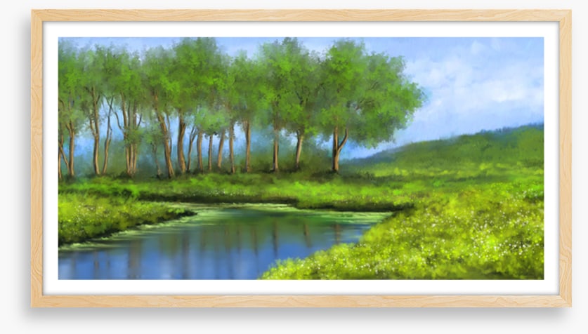 The river glade