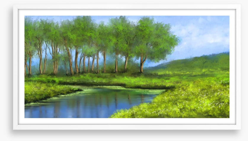 The river glade