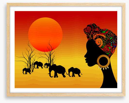 Walking with elephants