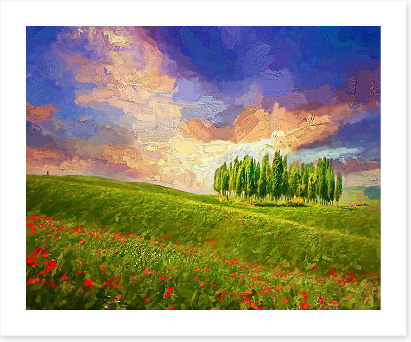 Summertime cypress