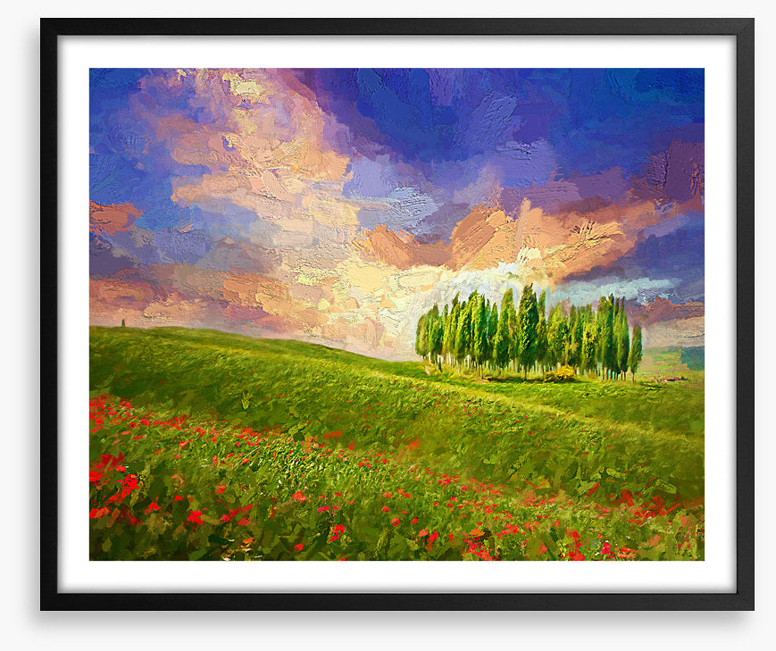 Summertime cypress