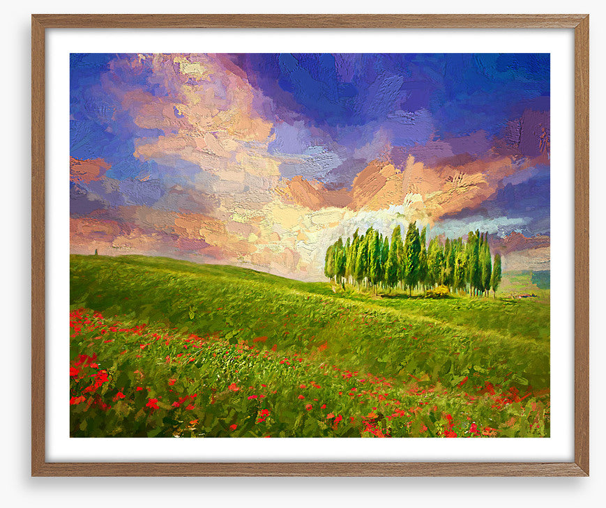 Summertime cypress