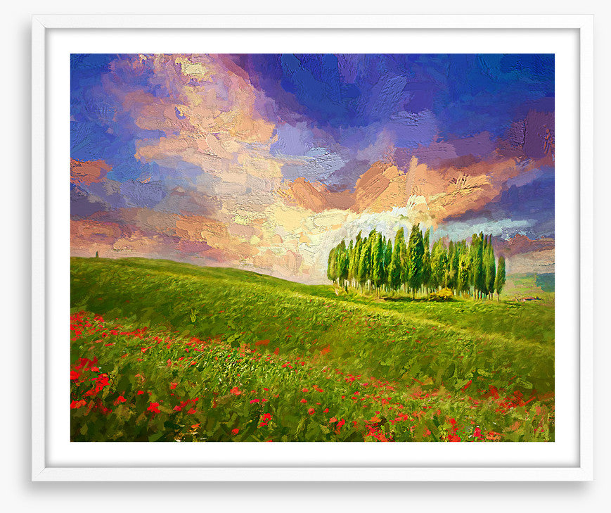 Summertime cypress