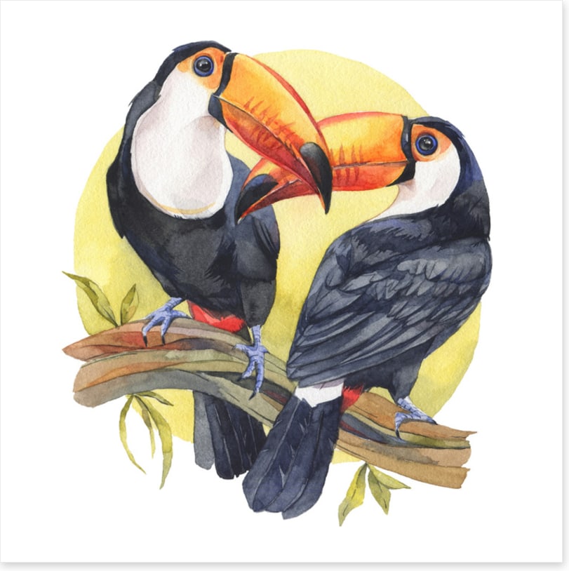 Toucan sun