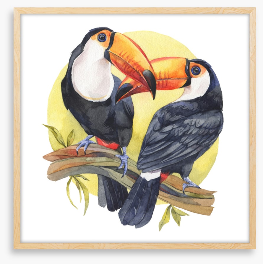 Toucan sun