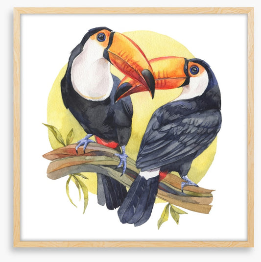 Toucan sun
