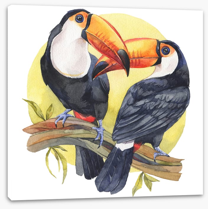 Toucan sun