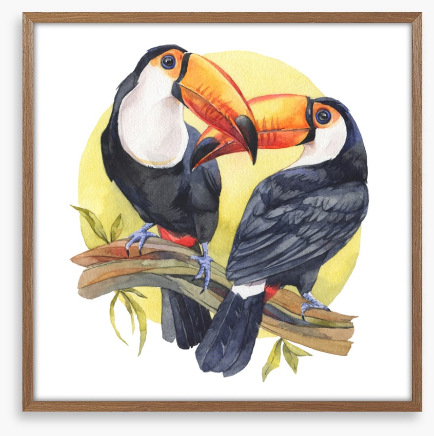Toucan sun