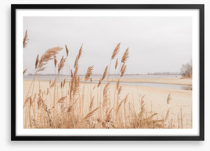 Pampas sands