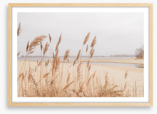 Pampas sands