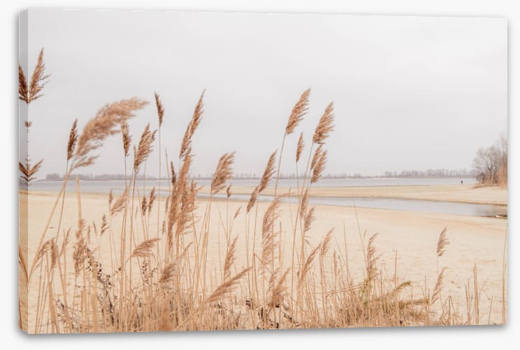 Pampas sands