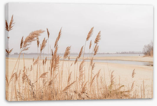 Pampas sands