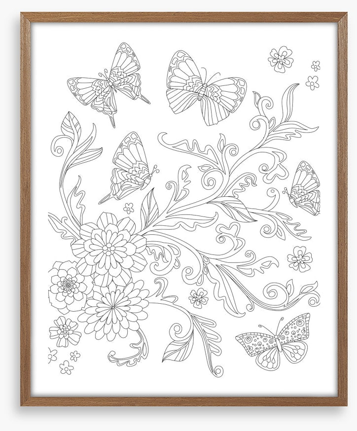 Colour me butterfly bush
