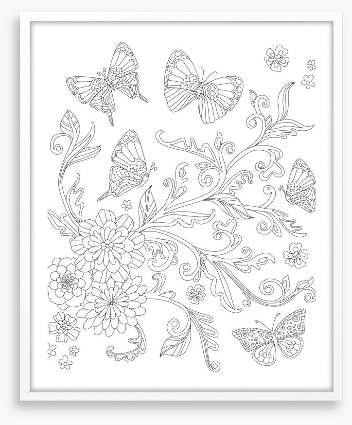 Colour me butterfly bush