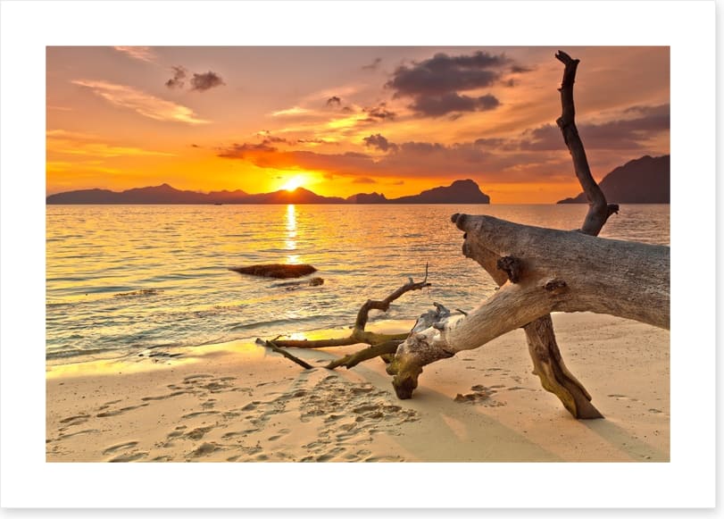 Golden glow