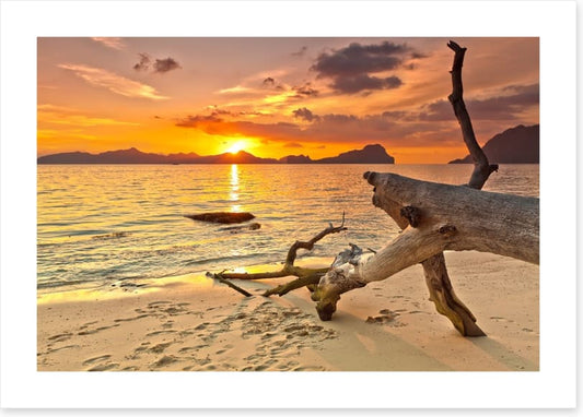Golden glow