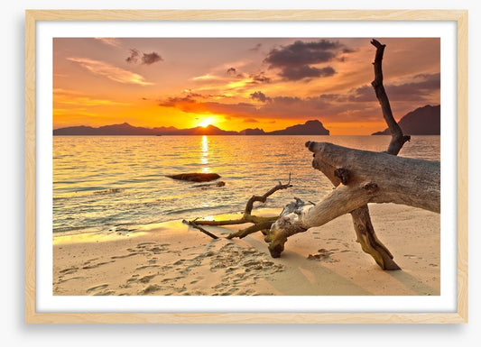 Golden glow