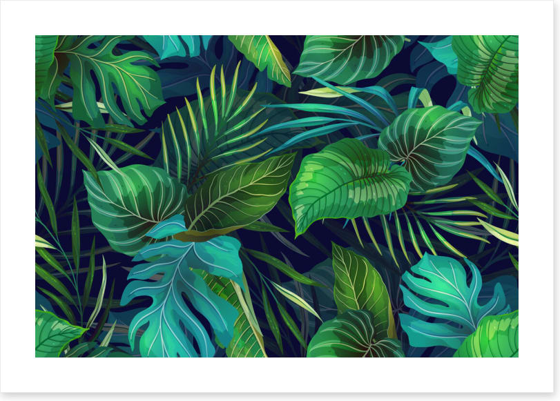 Midnight jungle