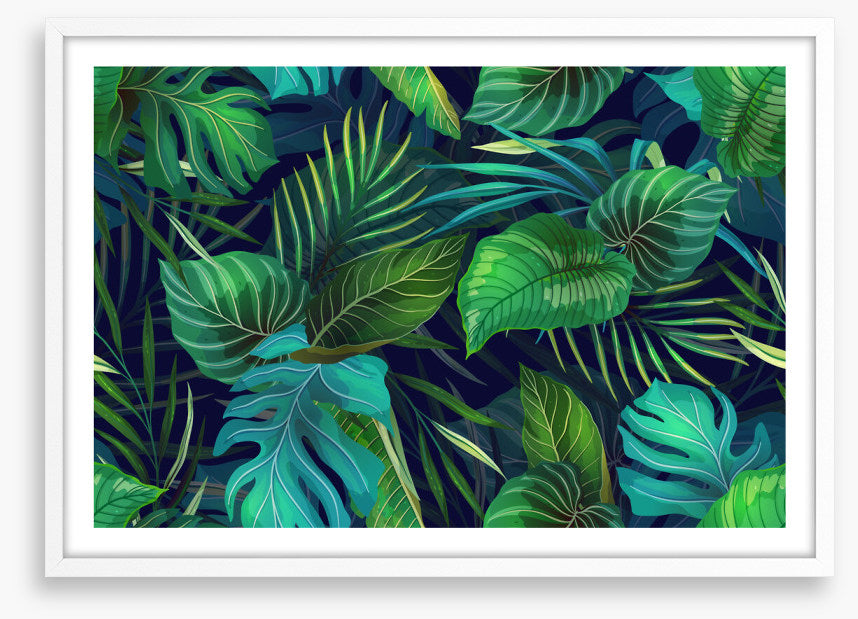 Midnight jungle
