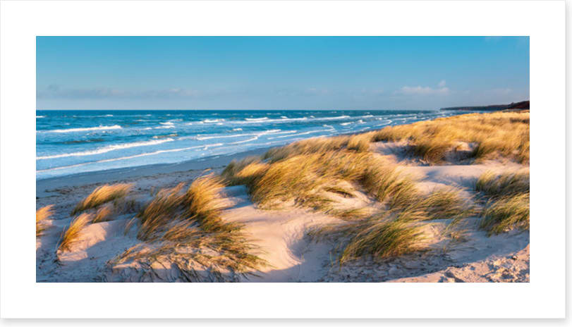 Windswept bay