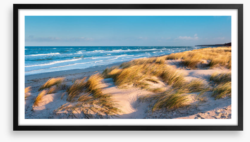 Windswept bay